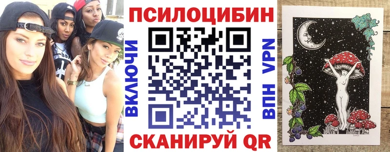Псилоцибиновые грибы Cubensis  Шилка 